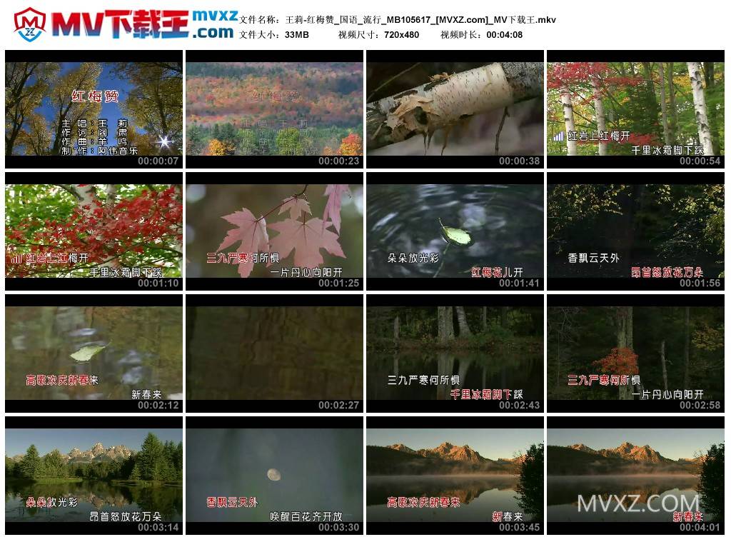 王莉-红梅赞_国语_流行_MB105617